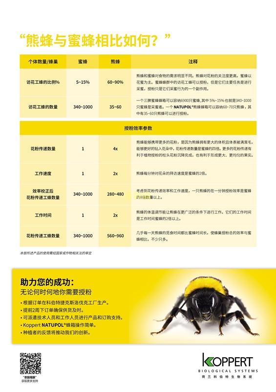 龙虎娱乐_龙虎国际平台-龙虎国际官方网址