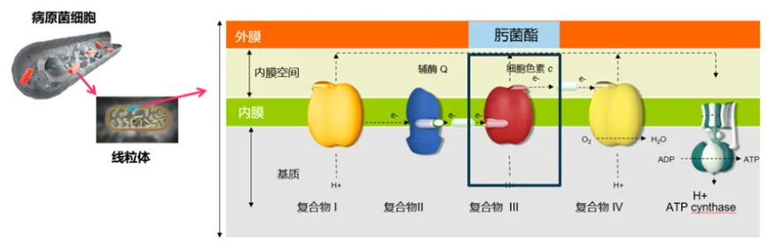 龙虎娱乐_龙虎国际平台-龙虎国际官方网址